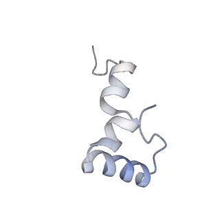 8826_5wf0_2_v1-3
70S ribosome-EF-Tu H84A complex with GTP and near-cognate tRNA (Complex C2)