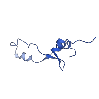 8826_5wf0_3_v1-3
70S ribosome-EF-Tu H84A complex with GTP and near-cognate tRNA (Complex C2)