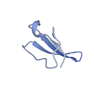 8826_5wf0_4_v1-3
70S ribosome-EF-Tu H84A complex with GTP and near-cognate tRNA (Complex C2)