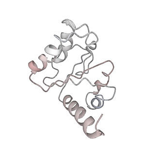 8826_5wf0_5_v1-3
70S ribosome-EF-Tu H84A complex with GTP and near-cognate tRNA (Complex C2)