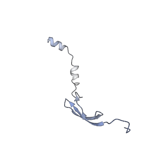 8826_5wf0_6_v1-3
70S ribosome-EF-Tu H84A complex with GTP and near-cognate tRNA (Complex C2)