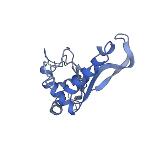 8826_5wf0_F_v1-3
70S ribosome-EF-Tu H84A complex with GTP and near-cognate tRNA (Complex C2)