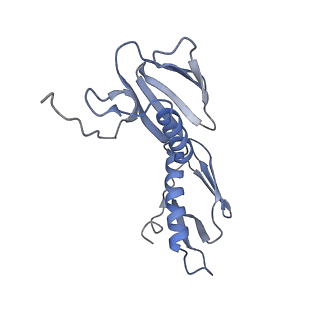 8826_5wf0_G_v1-3
70S ribosome-EF-Tu H84A complex with GTP and near-cognate tRNA (Complex C2)