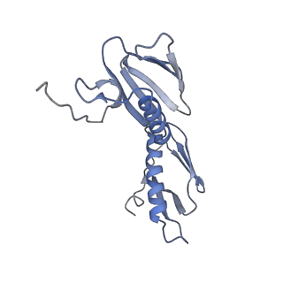8826_5wf0_G_v2-1
70S ribosome-EF-Tu H84A complex with GTP and near-cognate tRNA (Complex C2)