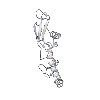 8826_5wf0_H_v1-3
70S ribosome-EF-Tu H84A complex with GTP and near-cognate tRNA (Complex C2)