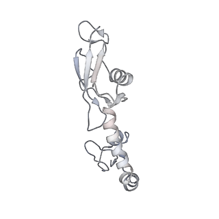 8826_5wf0_H_v2-1
70S ribosome-EF-Tu H84A complex with GTP and near-cognate tRNA (Complex C2)