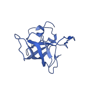 8826_5wf0_K_v1-3
70S ribosome-EF-Tu H84A complex with GTP and near-cognate tRNA (Complex C2)