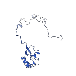 8826_5wf0_L_v1-3
70S ribosome-EF-Tu H84A complex with GTP and near-cognate tRNA (Complex C2)