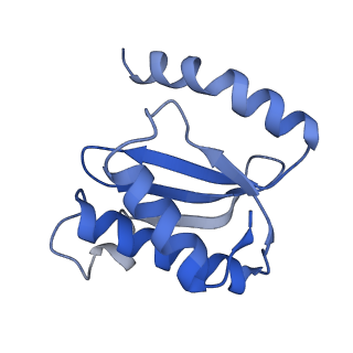 8826_5wf0_O_v1-3
70S ribosome-EF-Tu H84A complex with GTP and near-cognate tRNA (Complex C2)