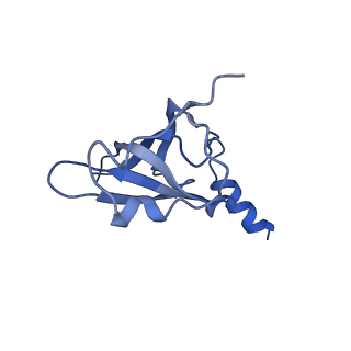 8826_5wf0_P_v1-3
70S ribosome-EF-Tu H84A complex with GTP and near-cognate tRNA (Complex C2)