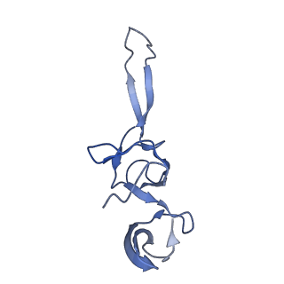8826_5wf0_U_v1-3
70S ribosome-EF-Tu H84A complex with GTP and near-cognate tRNA (Complex C2)