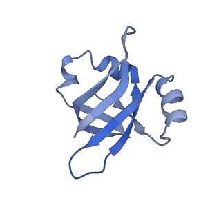 8826_5wf0_V_v1-3
70S ribosome-EF-Tu H84A complex with GTP and near-cognate tRNA (Complex C2)