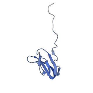8826_5wf0_W_v1-3
70S ribosome-EF-Tu H84A complex with GTP and near-cognate tRNA (Complex C2)