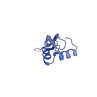 8826_5wf0_X_v1-3
70S ribosome-EF-Tu H84A complex with GTP and near-cognate tRNA (Complex C2)