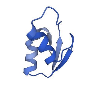 8826_5wf0_Z_v1-3
70S ribosome-EF-Tu H84A complex with GTP and near-cognate tRNA (Complex C2)