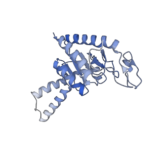 8826_5wf0_b_v1-3
70S ribosome-EF-Tu H84A complex with GTP and near-cognate tRNA (Complex C2)