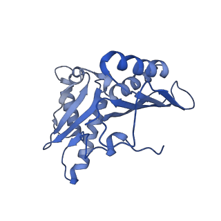 8826_5wf0_c_v1-3
70S ribosome-EF-Tu H84A complex with GTP and near-cognate tRNA (Complex C2)