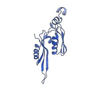 8826_5wf0_e_v1-3
70S ribosome-EF-Tu H84A complex with GTP and near-cognate tRNA (Complex C2)