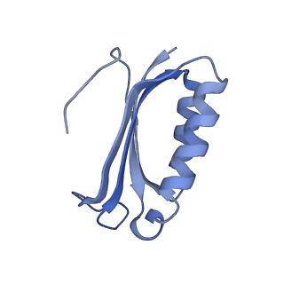 8826_5wf0_f_v1-3
70S ribosome-EF-Tu H84A complex with GTP and near-cognate tRNA (Complex C2)