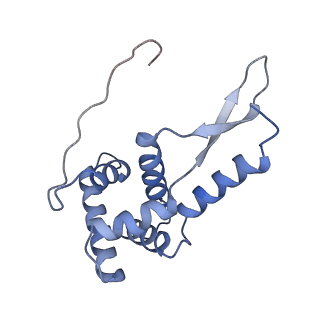 8826_5wf0_g_v1-3
70S ribosome-EF-Tu H84A complex with GTP and near-cognate tRNA (Complex C2)
