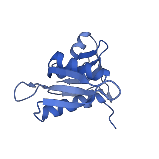 8826_5wf0_h_v1-3
70S ribosome-EF-Tu H84A complex with GTP and near-cognate tRNA (Complex C2)