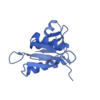 8826_5wf0_h_v2-1
70S ribosome-EF-Tu H84A complex with GTP and near-cognate tRNA (Complex C2)