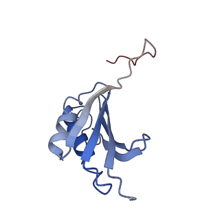 8826_5wf0_k_v1-3
70S ribosome-EF-Tu H84A complex with GTP and near-cognate tRNA (Complex C2)