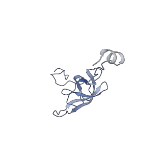 8826_5wf0_l_v1-3
70S ribosome-EF-Tu H84A complex with GTP and near-cognate tRNA (Complex C2)