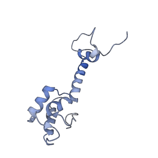 8826_5wf0_m_v1-3
70S ribosome-EF-Tu H84A complex with GTP and near-cognate tRNA (Complex C2)