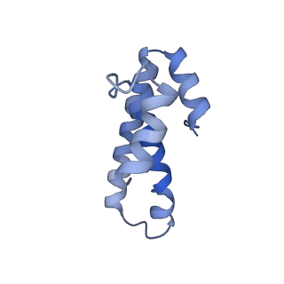 8826_5wf0_o_v1-3
70S ribosome-EF-Tu H84A complex with GTP and near-cognate tRNA (Complex C2)