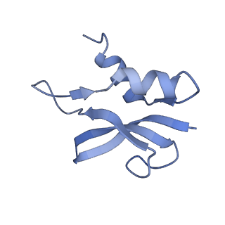 8826_5wf0_p_v2-1
70S ribosome-EF-Tu H84A complex with GTP and near-cognate tRNA (Complex C2)