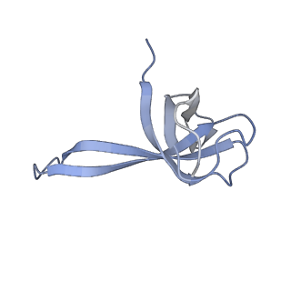 8826_5wf0_q_v1-3
70S ribosome-EF-Tu H84A complex with GTP and near-cognate tRNA (Complex C2)
