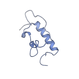 8826_5wf0_r_v1-3
70S ribosome-EF-Tu H84A complex with GTP and near-cognate tRNA (Complex C2)