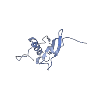 8826_5wf0_s_v1-3
70S ribosome-EF-Tu H84A complex with GTP and near-cognate tRNA (Complex C2)