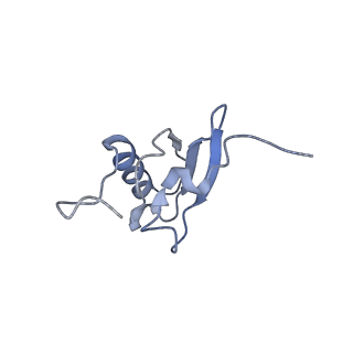 8826_5wf0_s_v2-1
70S ribosome-EF-Tu H84A complex with GTP and near-cognate tRNA (Complex C2)
