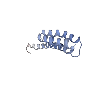 8826_5wf0_t_v1-3
70S ribosome-EF-Tu H84A complex with GTP and near-cognate tRNA (Complex C2)