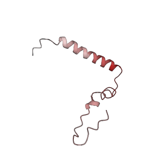 8826_5wf0_u_v1-3
70S ribosome-EF-Tu H84A complex with GTP and near-cognate tRNA (Complex C2)