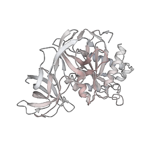 8826_5wf0_z_v1-3
70S ribosome-EF-Tu H84A complex with GTP and near-cognate tRNA (Complex C2)