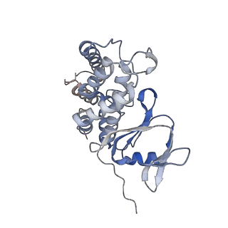 8827_5wfe_B_v1-4
Cas1-Cas2-IHF-DNA holo-complex