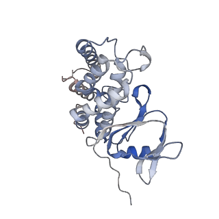 8827_5wfe_B_v1-5
Cas1-Cas2-IHF-DNA holo-complex