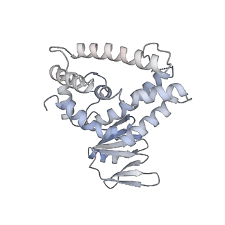 8827_5wfe_C_v1-4
Cas1-Cas2-IHF-DNA holo-complex
