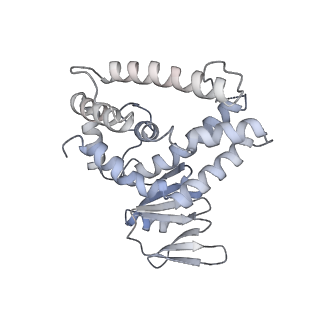 8827_5wfe_C_v1-5
Cas1-Cas2-IHF-DNA holo-complex