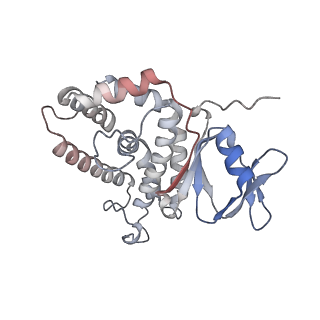 8827_5wfe_D_v1-4
Cas1-Cas2-IHF-DNA holo-complex