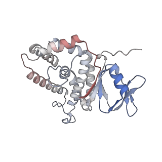 8827_5wfe_D_v1-5
Cas1-Cas2-IHF-DNA holo-complex