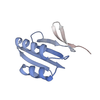 8827_5wfe_E_v1-5
Cas1-Cas2-IHF-DNA holo-complex