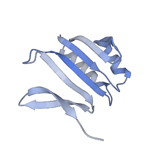 8827_5wfe_F_v1-4
Cas1-Cas2-IHF-DNA holo-complex