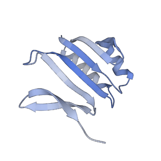 8827_5wfe_F_v1-5
Cas1-Cas2-IHF-DNA holo-complex