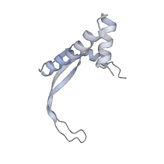 8827_5wfe_K_v1-4
Cas1-Cas2-IHF-DNA holo-complex