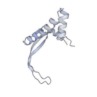 8827_5wfe_K_v1-5
Cas1-Cas2-IHF-DNA holo-complex