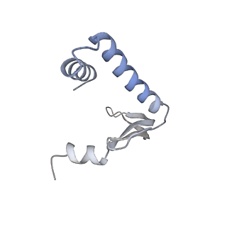 8827_5wfe_L_v1-4
Cas1-Cas2-IHF-DNA holo-complex